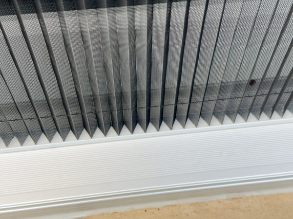 Insektenschutz-Plissee von SBB Schäfer